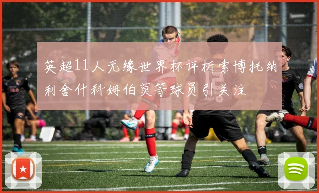 英超11人无缘世界杯评析索博托纳利舍什科姆伯莫等球员引关注