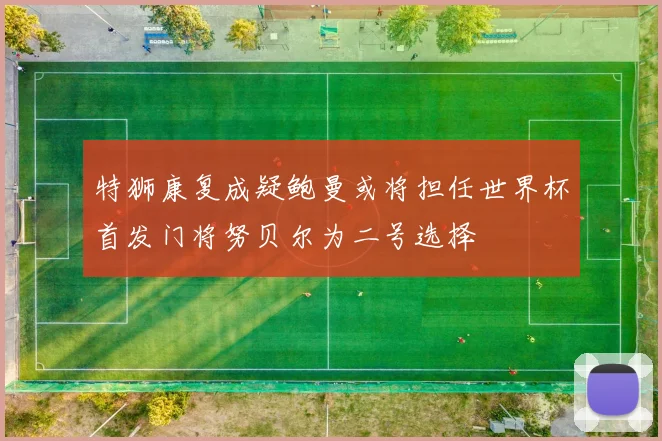 特狮康复成疑鲍曼或将担任世界杯首发门将努贝尔为二号选择